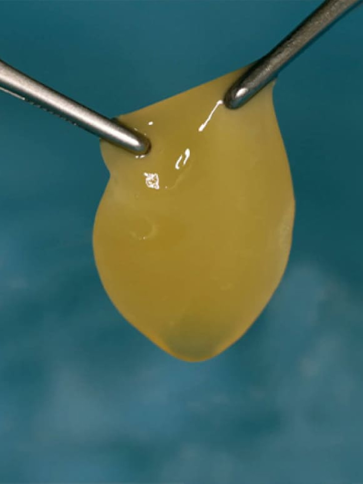 clinicaleandental1